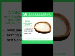 Polvere di MSM